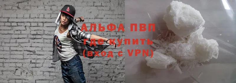 это Telegram  omg онион  Буй  Alpha-PVP СК 