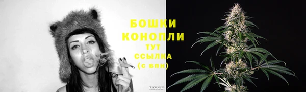 тгк Новый Уренгой