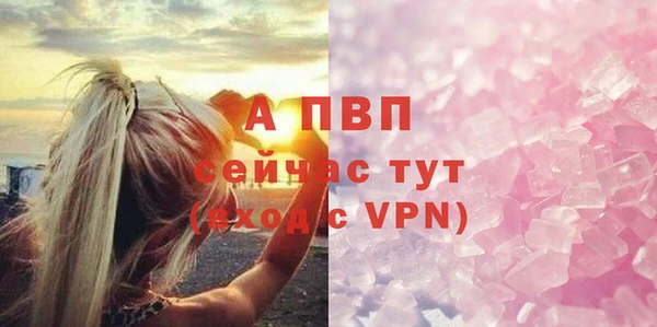 индика Майский