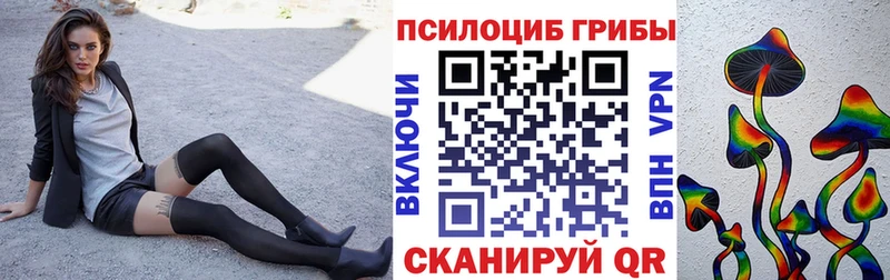 Галлюциногенные грибы ЛСД  что такое   Буй 